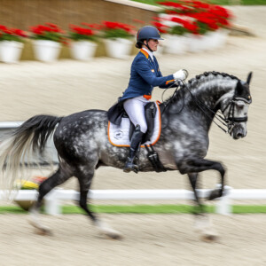 Photo sport équitation dressage : Photographe PAD Photo sport équitation dressage : Photographe PAD