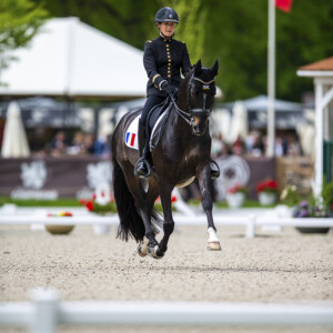 Photo sport équitation dressage : Photographe PAD Photo sport équitation dressage : Photographe PAD