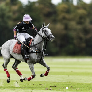 Photo sport équitation Polo : Photographe PAD Photo sport équitation Polo : Photographe PAD
