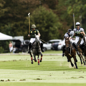 Photo sport équitation Polo : Photographe PAD Photo sport équitation Polo : Photographe PAD