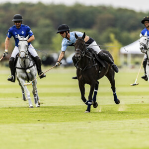 Photo sport équitation Polo : Photographe PAD Photo sport équitation Polo : Photographe PAD