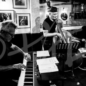 Concert ambiance Pad