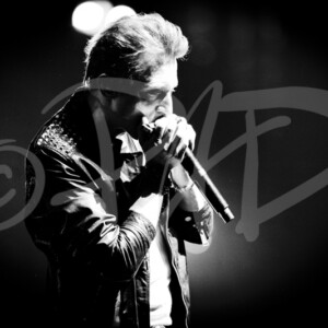 concert ambiance photographe pad