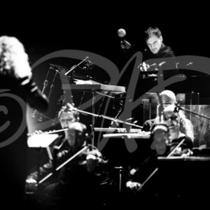 concert ambiance photographe pad 12