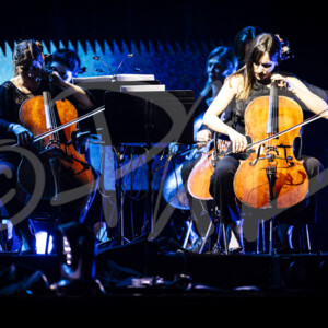 concert ambiance photographe pad 14