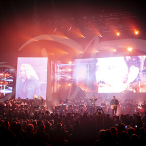 concert ambiance photographe pad 17