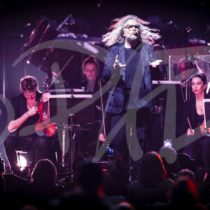 concert ambiance photographe pad 2