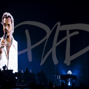 concert ambiance photographe pad 21