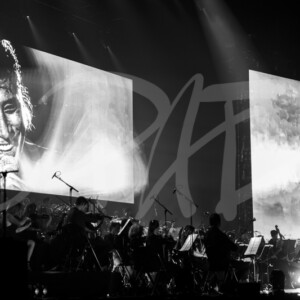 concert ambiance photographe pad 22