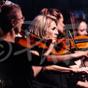 concert ambiance photographe pad 8